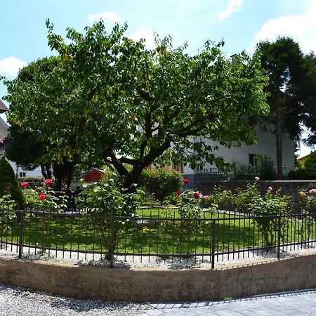 Il Vecchio Ciliegio Viggiù