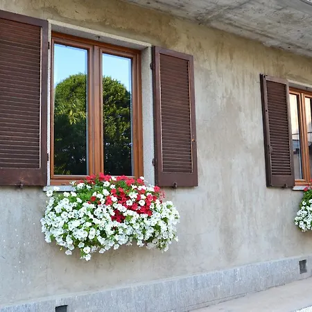Il Vecchio Ciliegio * Viggiù
